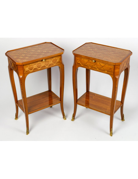 A Pair of Bedside Tables in Louis XV Style.