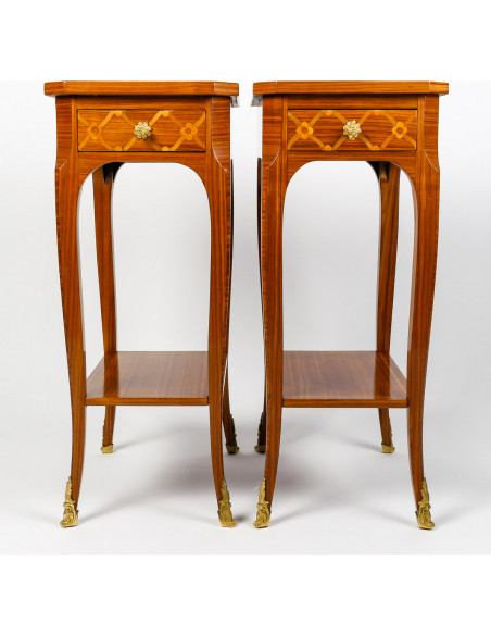 A Pair of Bedside Tables in Louis XV Style.