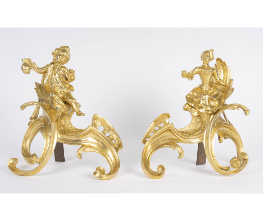 Paire de chenet en bronze...