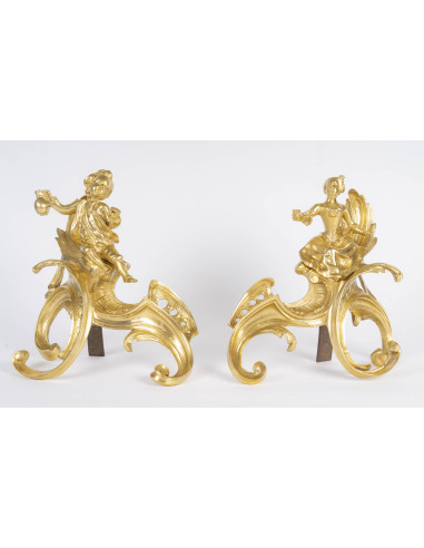 Paire de chenet en bronze doré,...