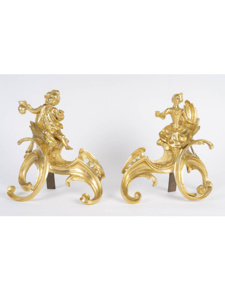 Paire de chenet en bronze doré, d'époque ?