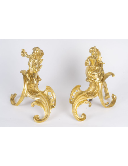 Paire de chenet en bronze doré, d'époque ?