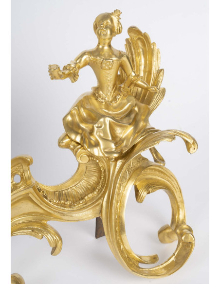 Paire de chenet en bronze doré, d'époque ?