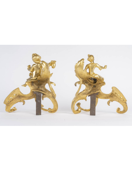 Paire de chenet en bronze doré, d'époque ?