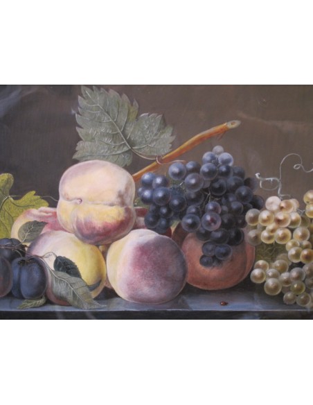 Nature morte aux fruits. XIXème siècle.