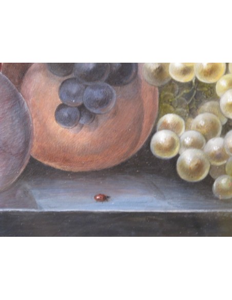 Nature morte aux fruits. XIXème siècle.